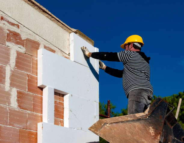 Best Home Insulation Services  in Nixa, MO
