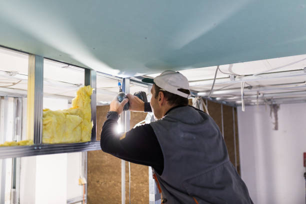 Best Attic Insulation Installation  in Nixa, MO