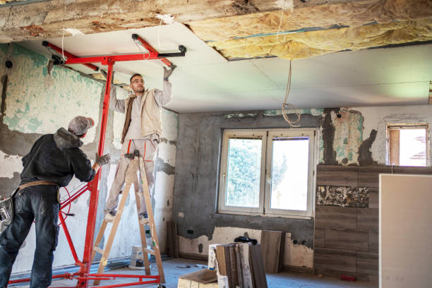 Best Insulation for New Construction  in Nixa, MO