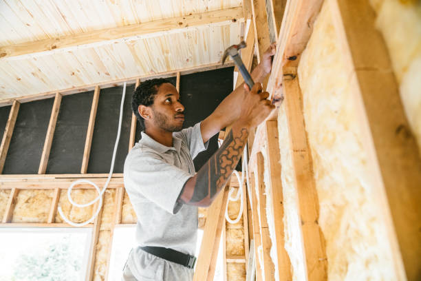 Professional Insulation Contractor in Nixa, MO