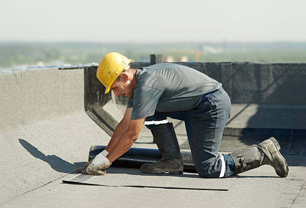 Best Fiberglass Insulation  in Nixa, MO