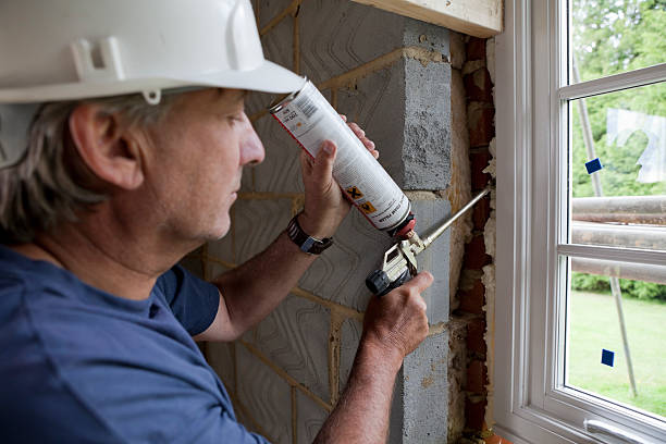 Best Wall Insulation Contractor  in Nixa, MO