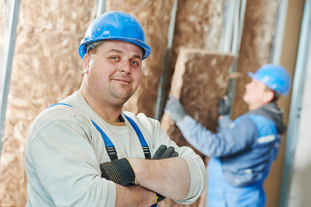 Best Affordable Insulation Services  in Nixa, MO