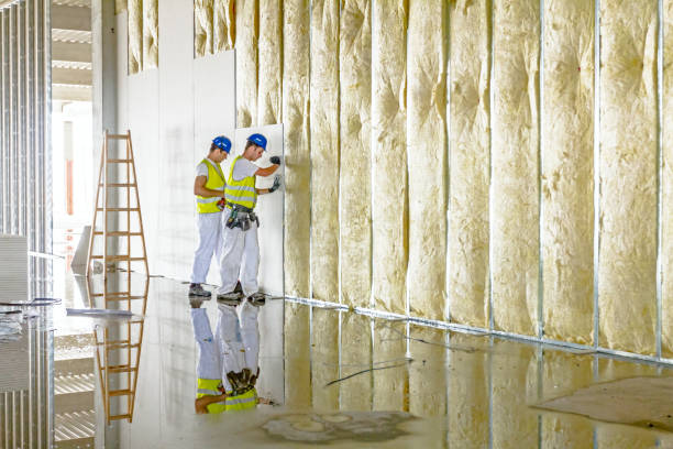 Best Insulation Removal Services  in Nixa, MO